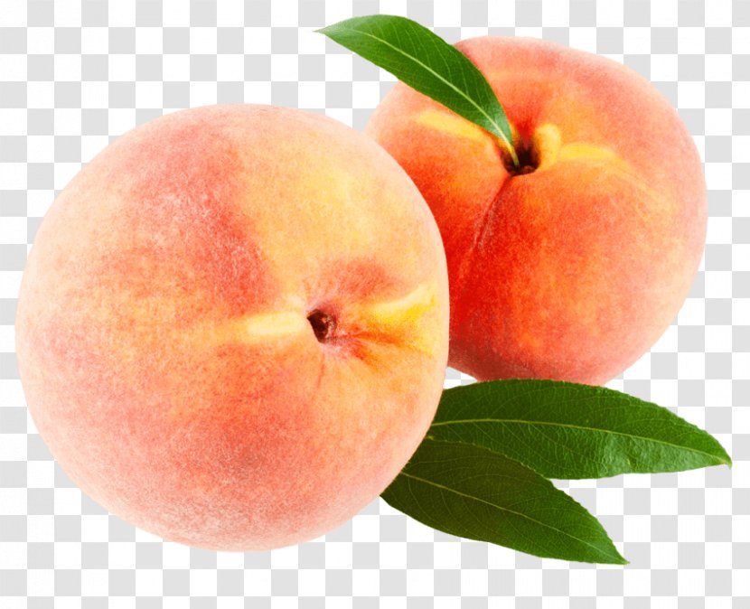 Peach Clip Art Image - Fruit - Succulent Transparent PNG