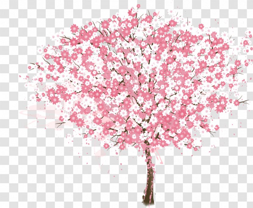 Cherry Blossom Tree - Poster - Vector Painted Pink Transparent PNG