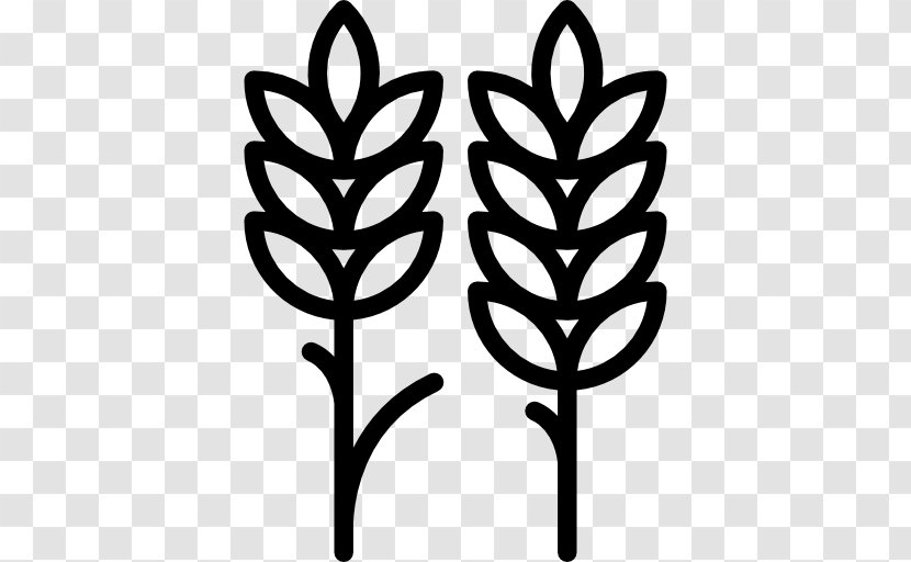 Wheat - Flora - Symmetrical Vector Transparent PNG