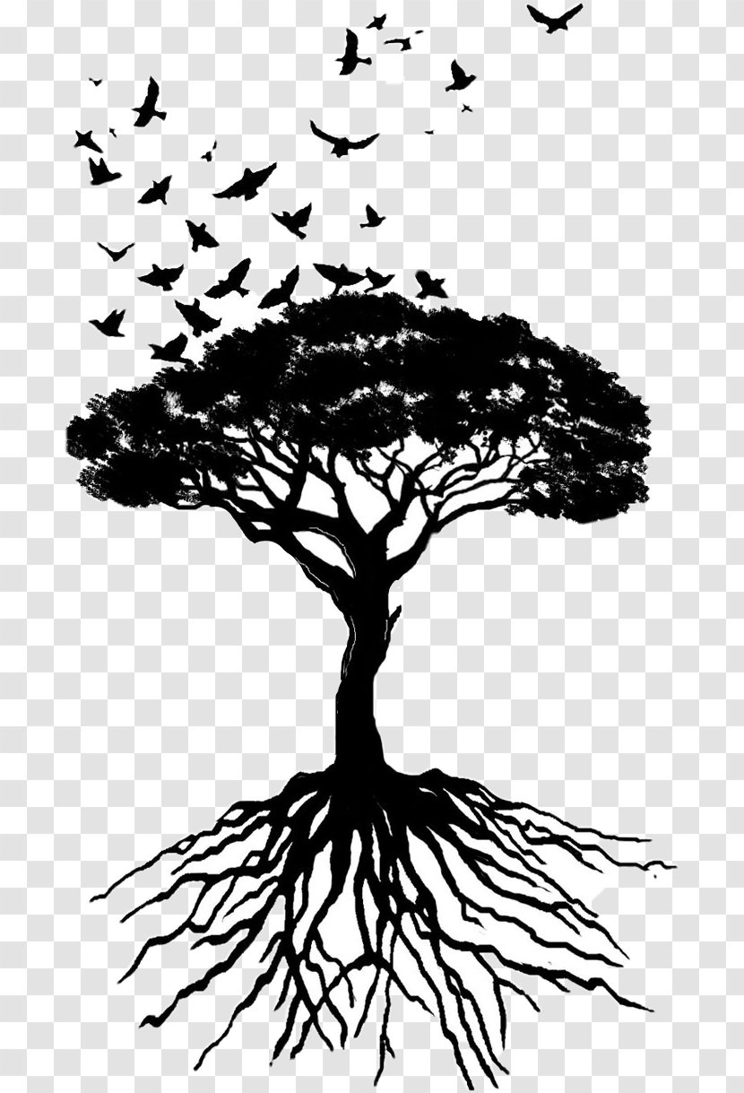 Tree Of Life - Root - Twig Transparent PNG