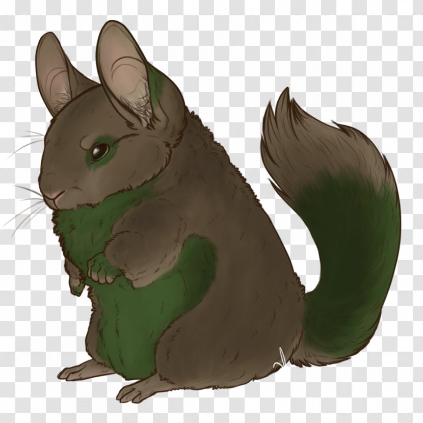 Squirrel Illustration Whiskers Computer Mouse Cartoon Transparent PNG