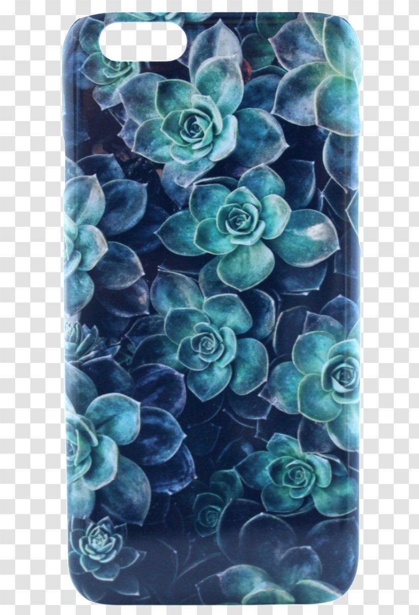 Succulent Plant Desktop Wallpaper Echeveria Mobile Phones - Turquoise - Suculent Transparent PNG