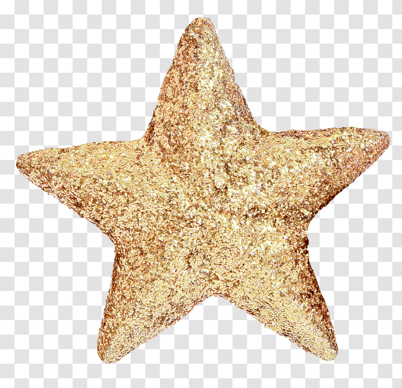 Star Starfish Transparent PNG