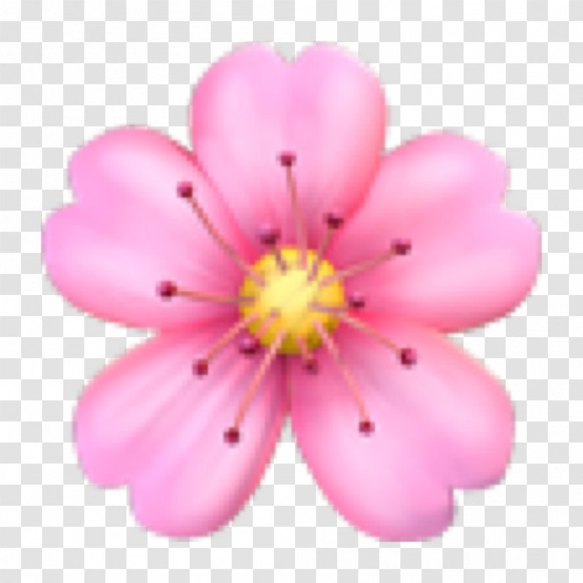 Emoji Domain Flower Sticker Emoticon - Clothing Accessories Transparent PNG