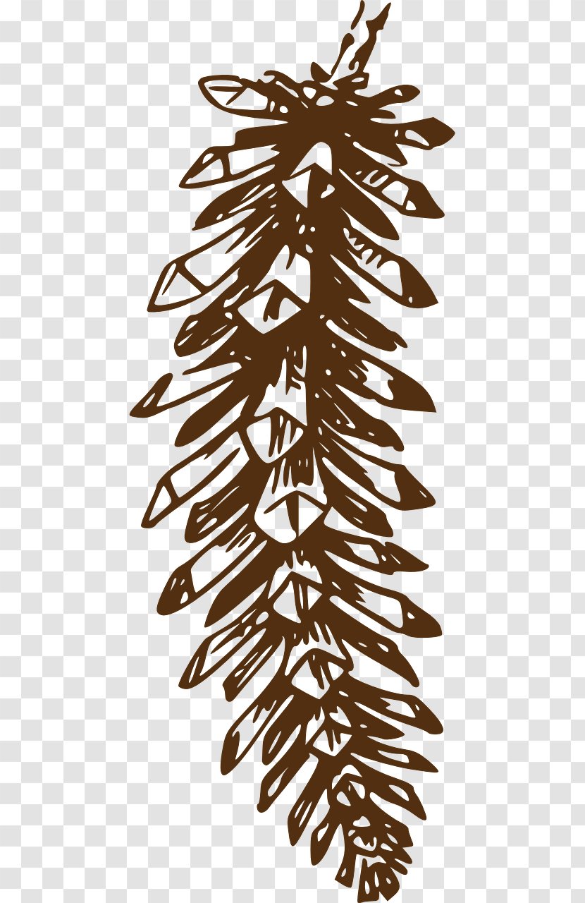 Pine Clip Art Conifer Cone Vector Graphics Openclipart - Family - Fir Transparent PNG