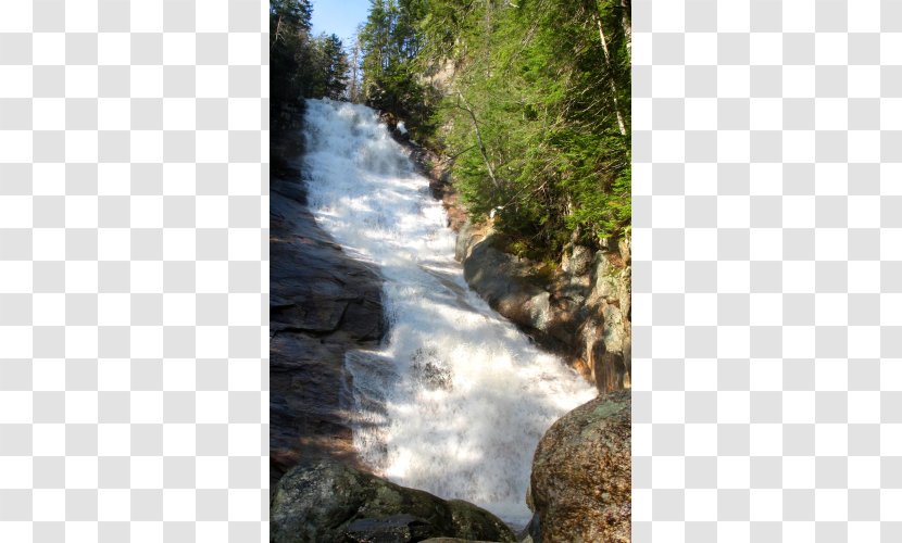 Stream Bed Body Of Water River Watercourse - Tree - Mountain Waterfall Transparent PNG