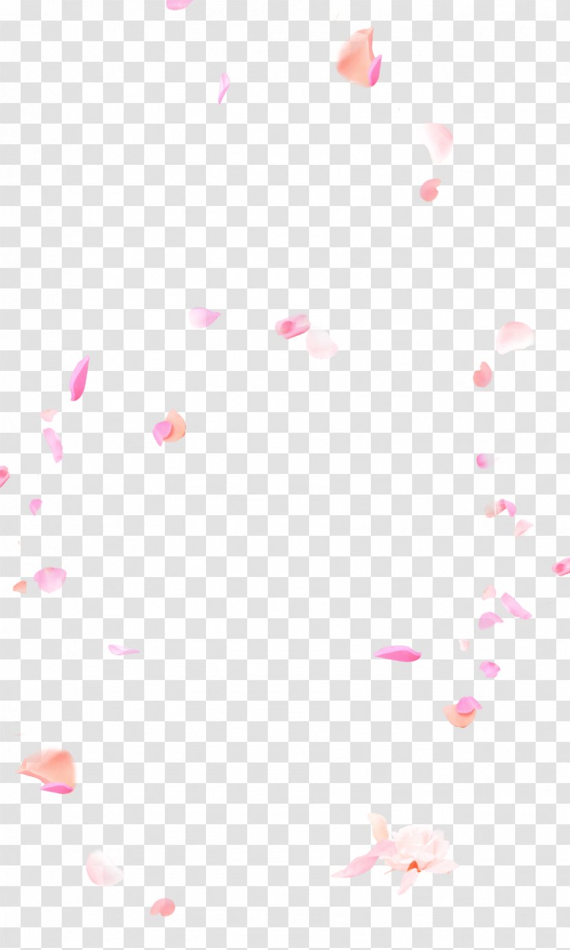 Petal Pink Flower - Header - Falling Flowers Transparent PNG