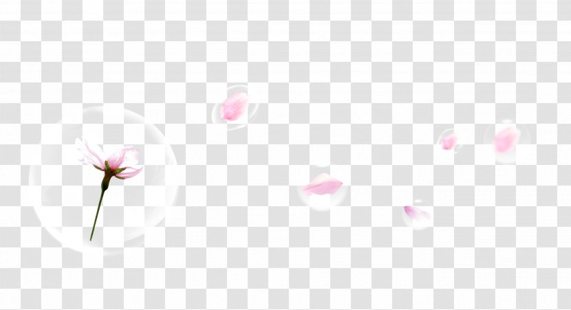 Petal Pattern - Pink - Beautiful Flower Petals Floating Bubbles Transparent PNG