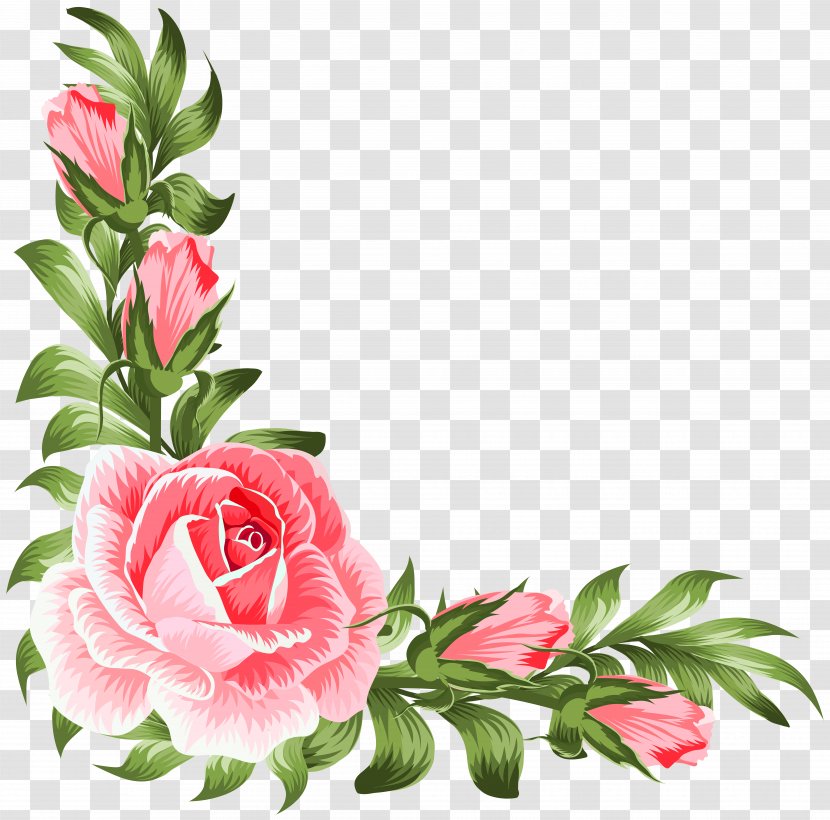 Garden Roses Art Clip - Cut Flowers - Design Transparent PNG