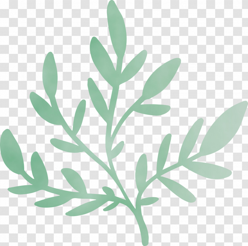 Twig Plant Stem Leaf Plants Plant Structure Transparent PNG