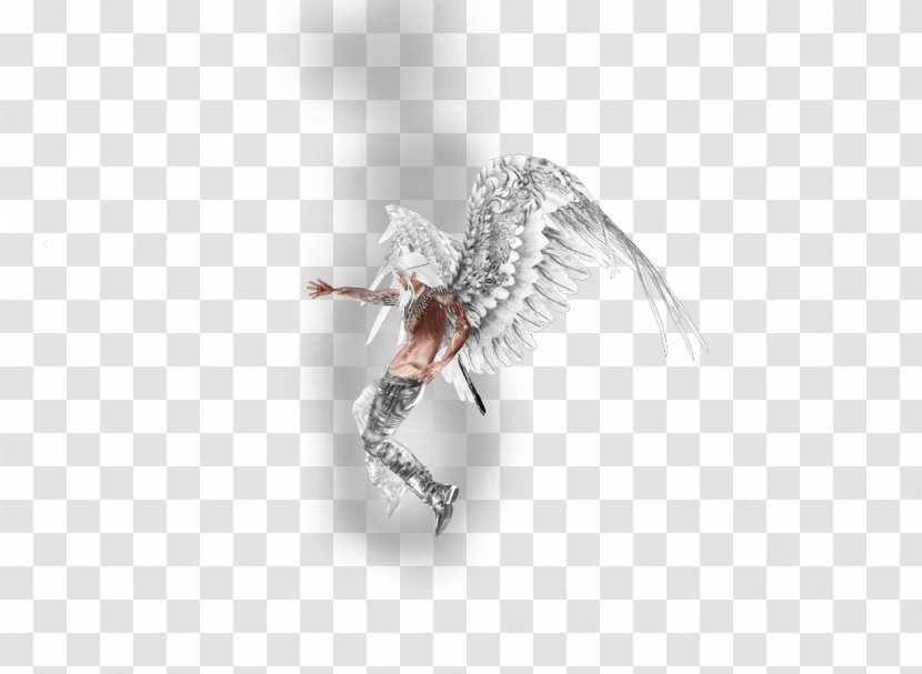 Insect Jewellery - Fly Transparent PNG