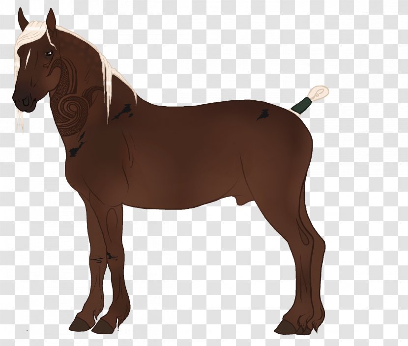Mustang Stallion Pony Mare Rein - Neck - Davy Jones Transparent PNG