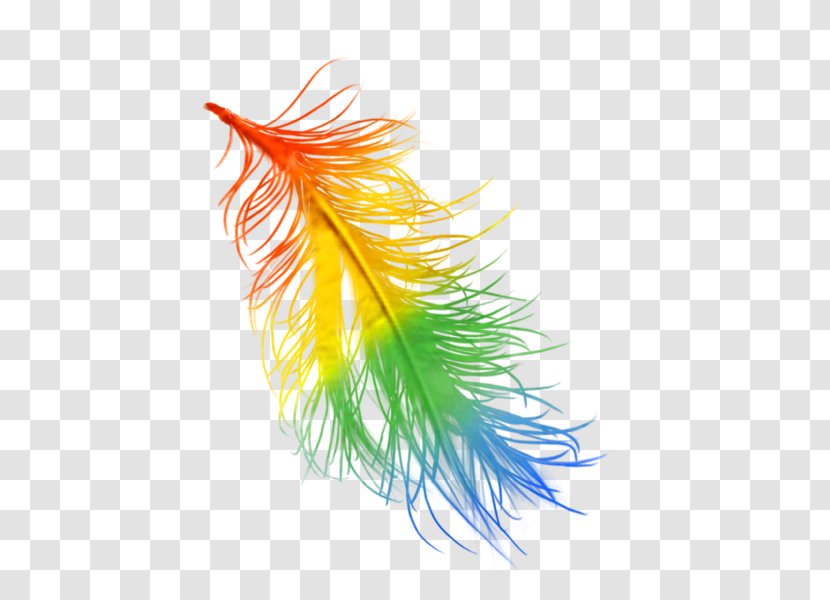 Feather Rainbow Color Data Compression Transparent PNG