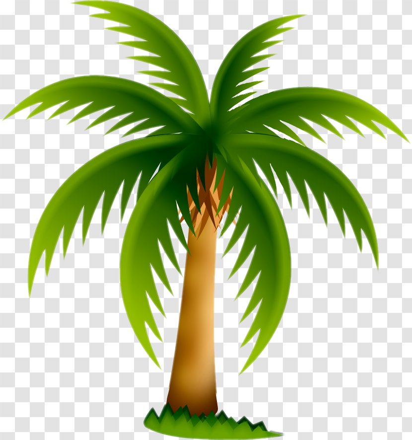 Arecaceae Date Palm Tree Clip Art Transparent PNG