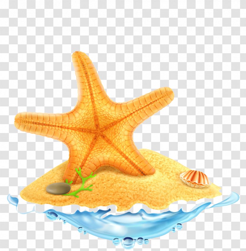 Starfish Royalty-free Clip Art - Marine Invertebrates - Yellow FIG. Transparent PNG