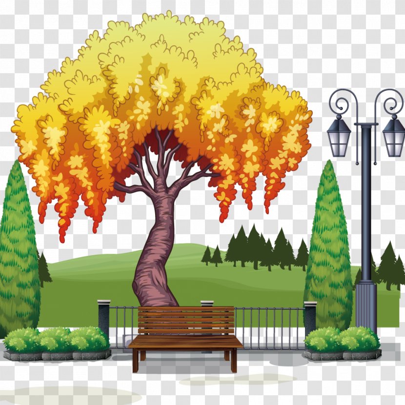 Tree Stock Photography Illustration - Art - Vector Park Trees Transparent PNG