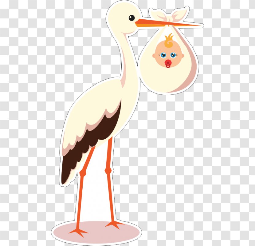 Vector Graphics Image Clip Art Child - Photography - Baby Stork Transparent PNG