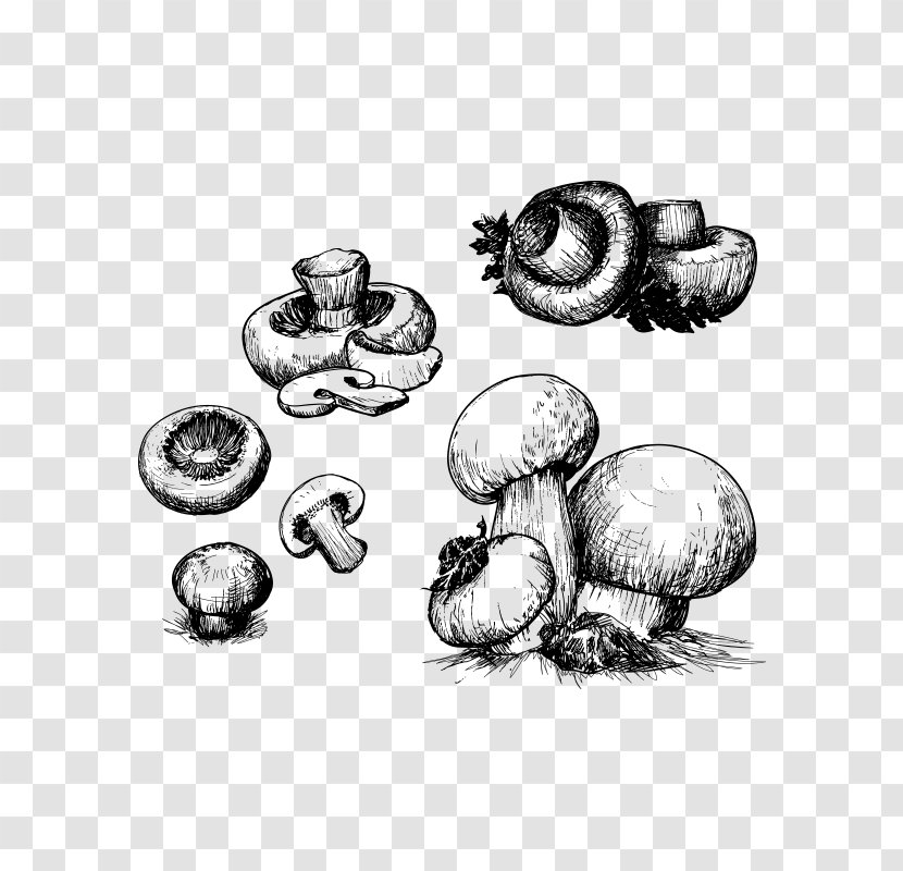 Mushroom Drawing Illustration - Monochrome - Mushroom,fungus Transparent PNG