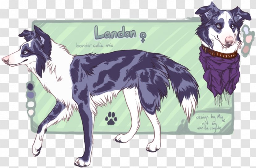 Dog Breed Silken Windhound Whippet Borzoi Border Collie - Australian Shepherd Transparent PNG