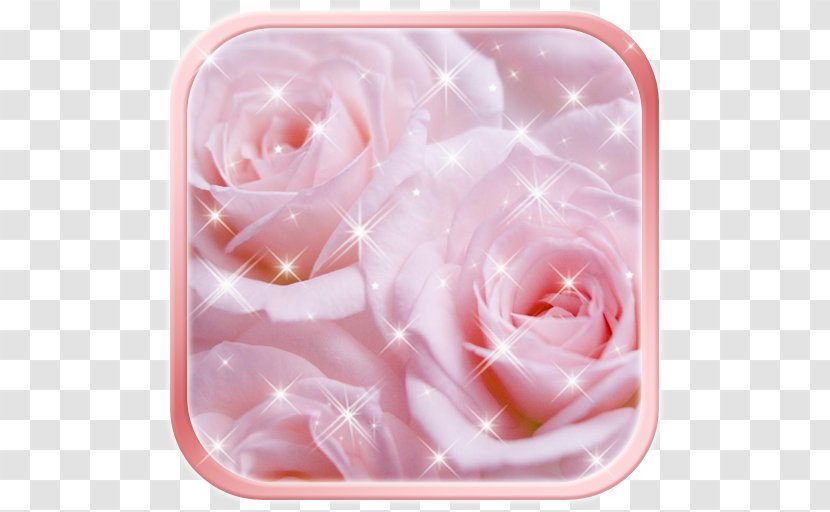 Tap Swipe! Android Desktop Wallpaper - Swipe - Pink 8 Digit Womens Day Transparent PNG