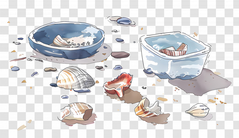 Beachcombing - Seashells In Bowls On The Beach Transparent PNG
