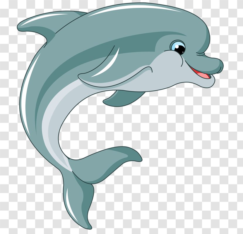 Dolphin Royalty-free Illustration - Stock Photography Transparent PNG