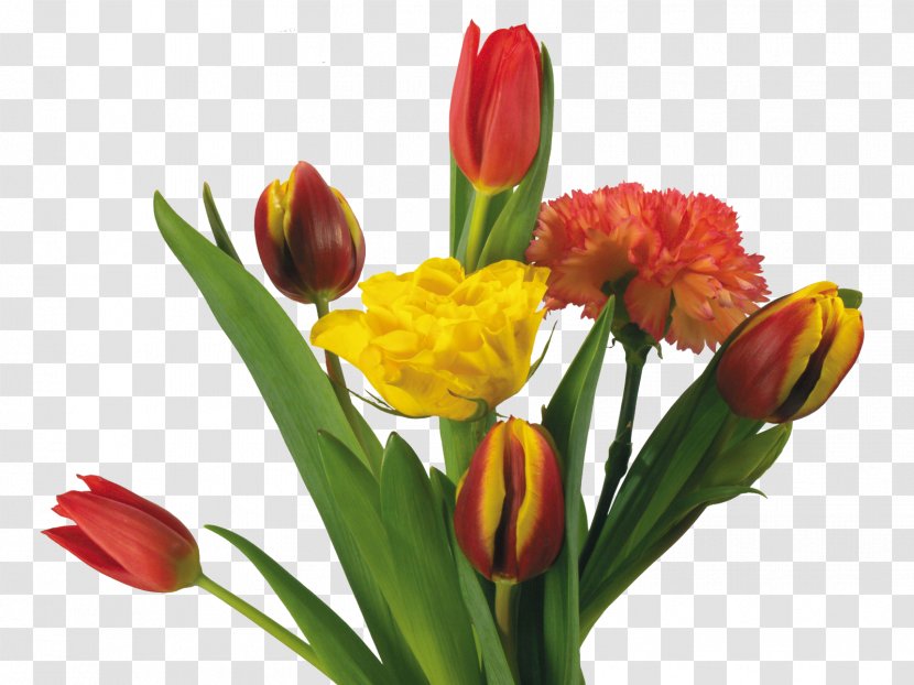 Flower Bouquet Tulip - Ramo De Noiva - Floral Of Tulips Transparent PNG