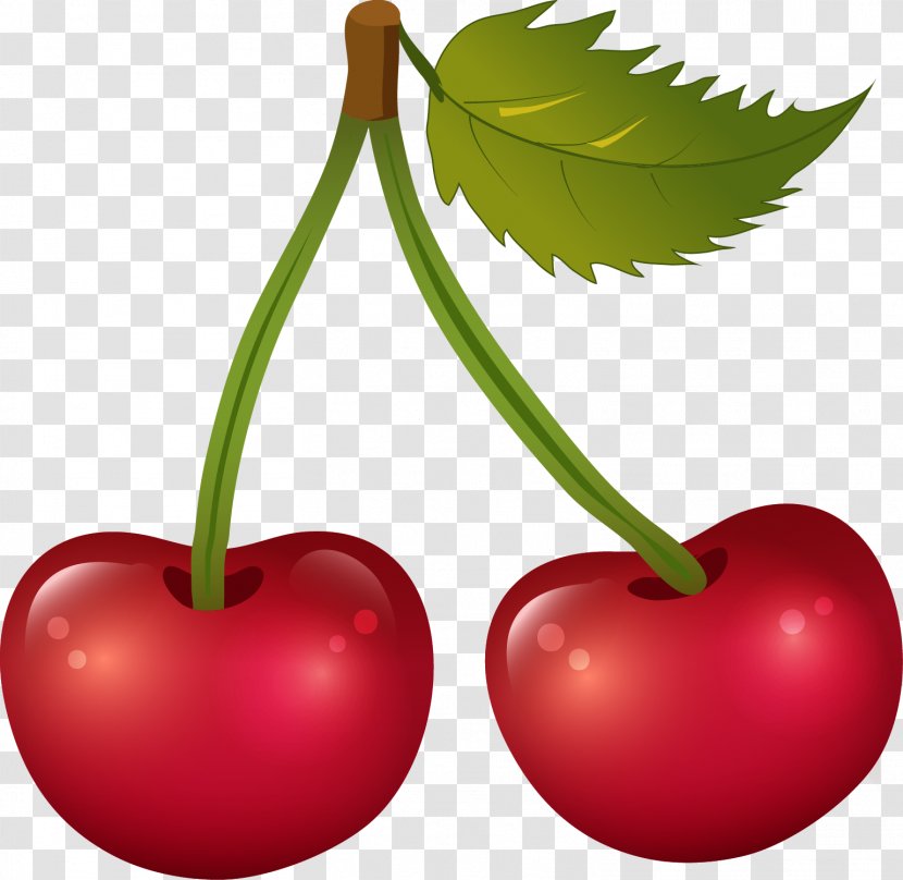 French Quiz Masculine Feminine Cherry Download - Superfood Transparent PNG