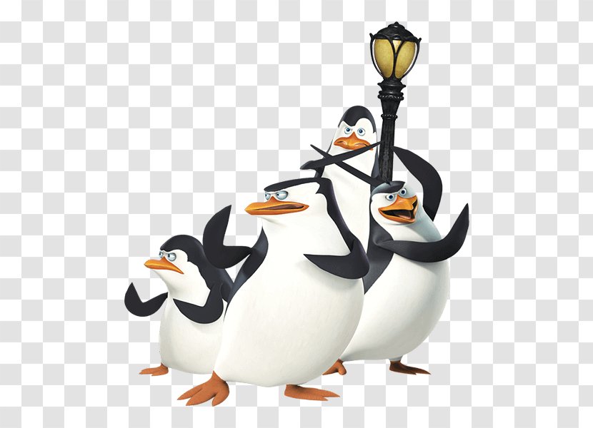 Penguin Flightless Bird Olympus Beak Camera Lens - Tray - Madagascar Penguins Transparent PNG