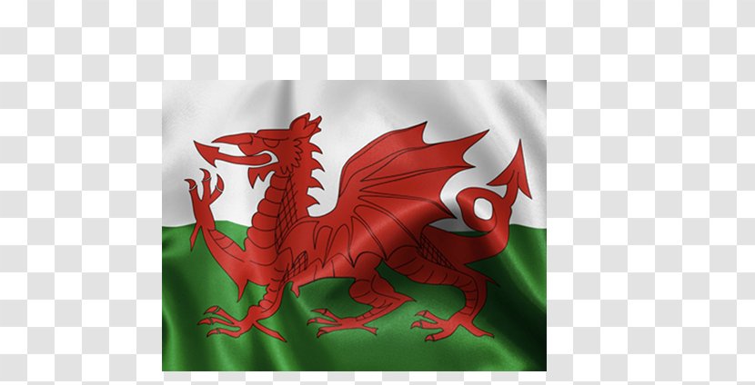 Flag Of Wales Welsh Dragon National - St David Day Transparent PNG