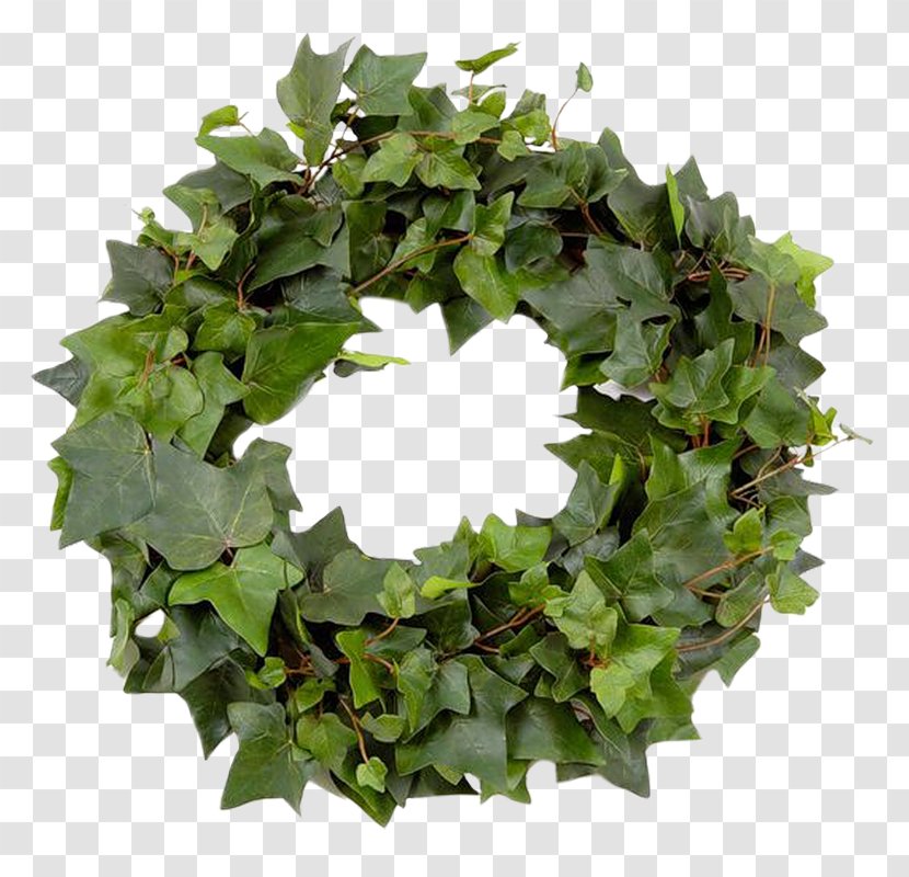 Leaf Wreath Garland Crown - Ivy - Green Transparent PNG