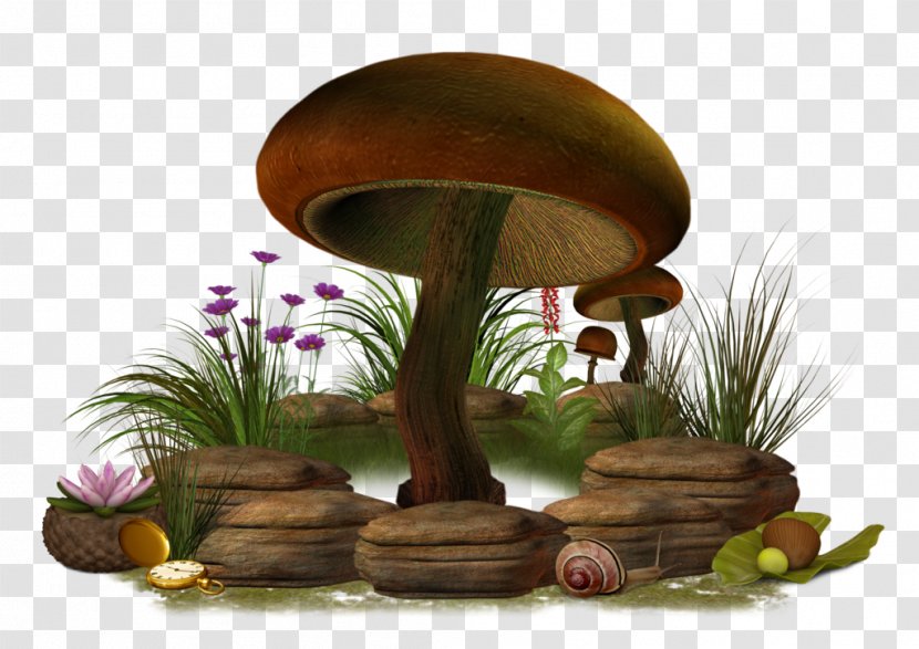 Plant Flowerpot - Mushroom Clipart Transparent PNG