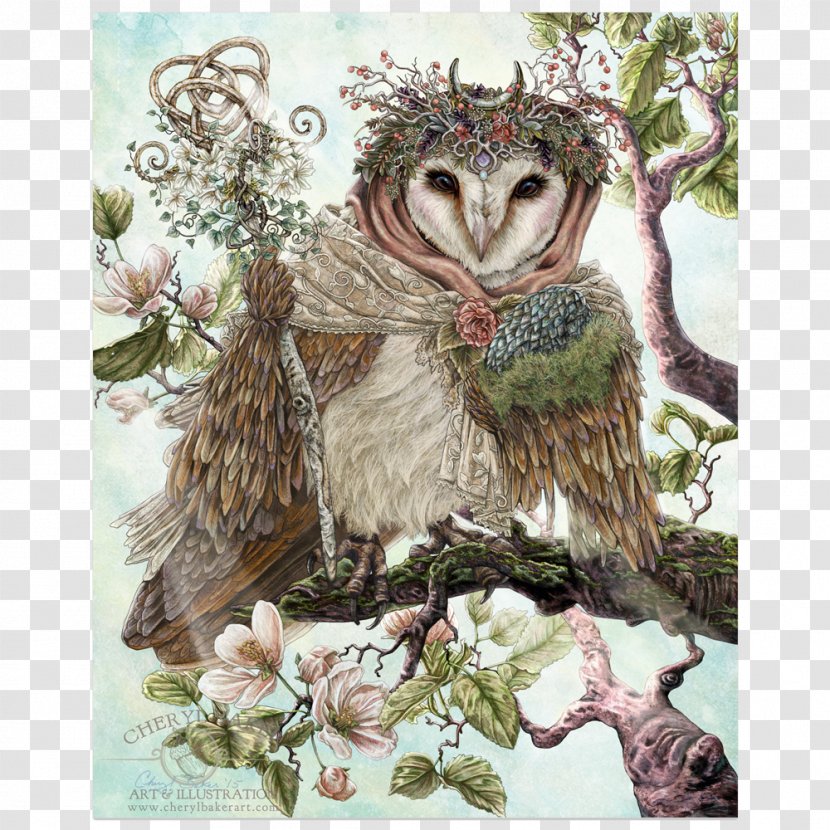 Barn Owl Bird Artist - Printing Transparent PNG