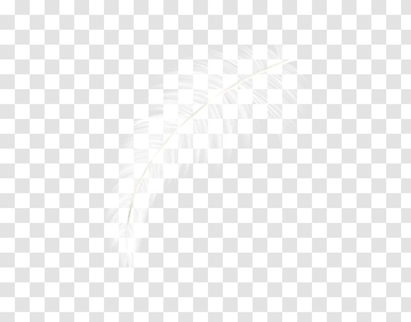 Computer Graphics - Point - White Feather Transparent PNG