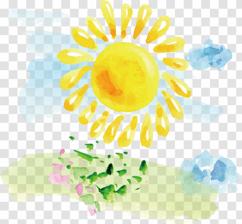 Watercolor Painting Drawing Illustration - Sunflower - Sunshine Design Transparent PNG