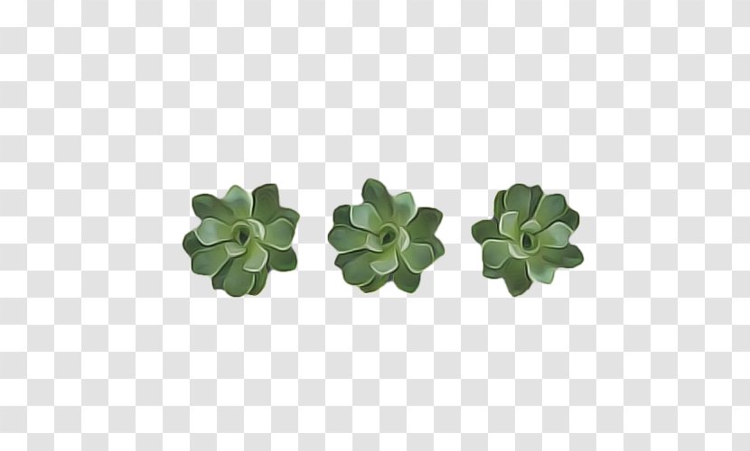 Green Leaf Background - Editing - Stonecrop Family Flowerpot Transparent PNG