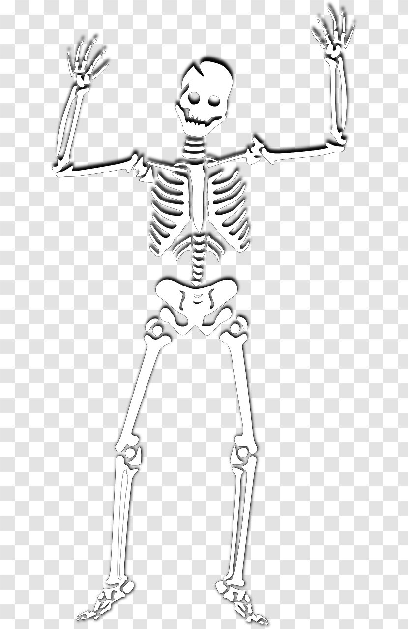 Clip Art Human Skeleton Image Drawing - Flower Transparent PNG