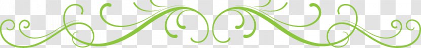 Wheatgrass Green Desktop Wallpaper Close-up Font - Grass Family - Text Dividers Transparent PNG