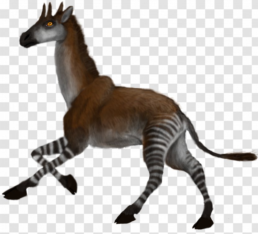 Okapi Palaeotragus Giraffe Helladotherium Mammal Transparent PNG
