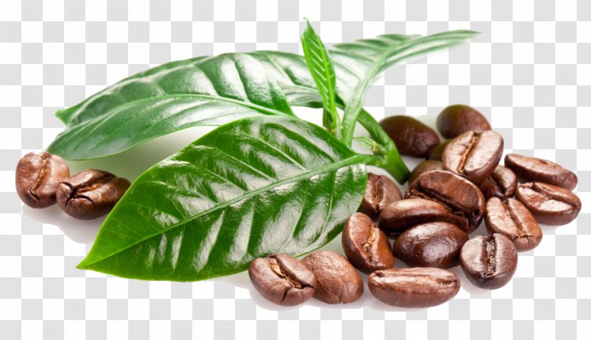 Coffee Bean Tea Espresso Cup - Beans Transparent PNG