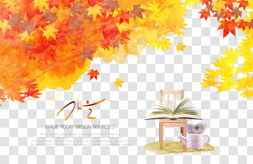Autumn Download Maple Leaf Illustration - Floral Design - Leaves Bench Transparent PNG