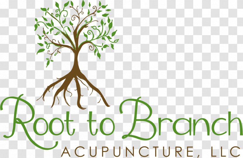Logo Brand Plant Stem Font - Alternative Health Services - Acupuncture Transparent PNG