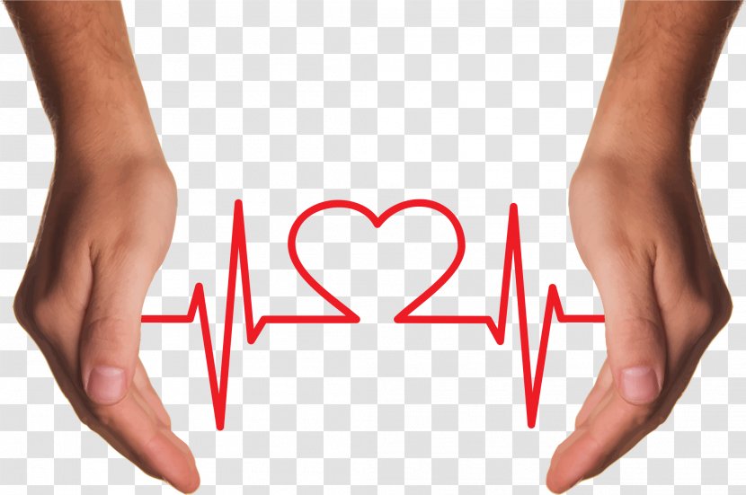 Heart Hand Clip Art - Healthy Transparent PNG
