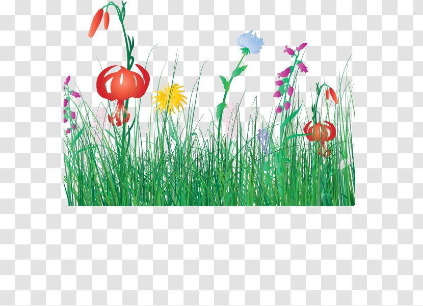 Flower Cartoon Clip Art - Spring Flowers Fresh Grass Transparent PNG