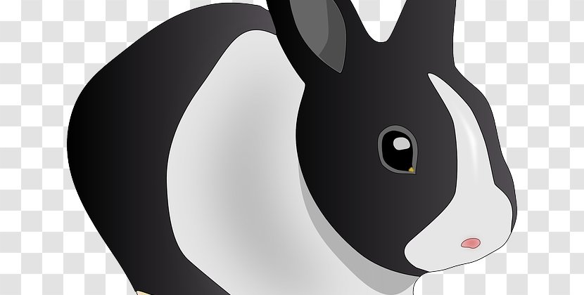Easter Bunny Rabbit Holland Lop Clip Art - Vertebrate - Peter Vector Transparent PNG