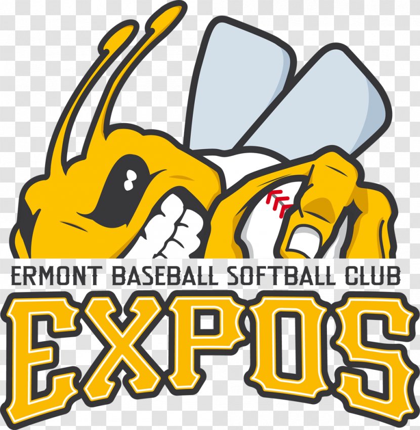 Expos Ermont Baseball Softball Club Baseball/Softball Templiers De Sénart France National Team Transparent PNG