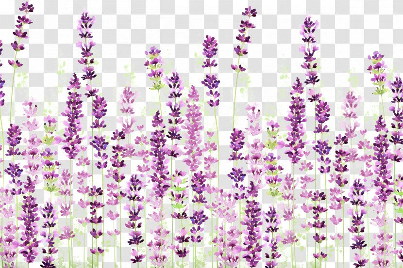 English Lavender Download Icon - Plant Stem - Background Transparent PNG