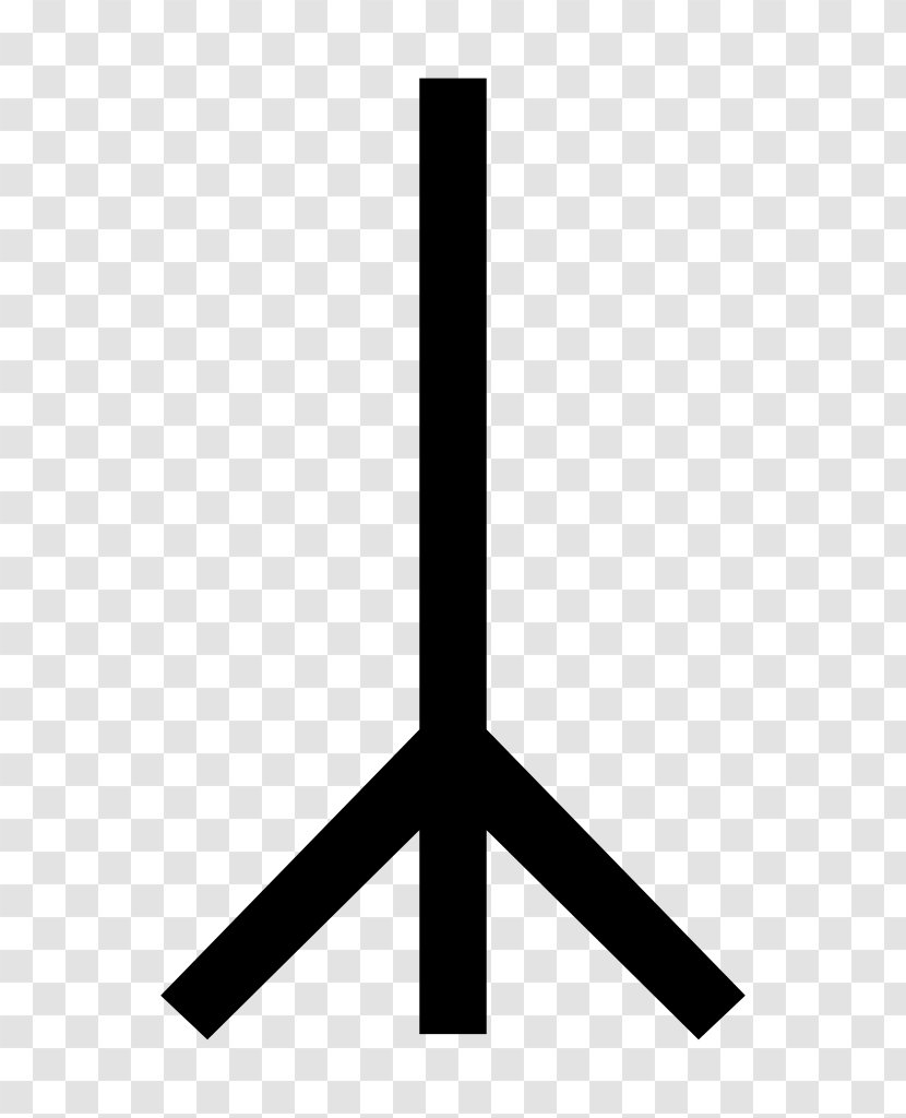 Anglo-Saxon Runes Bind Rune Yr Runic Insignia Of The Schutzstaffel - Old Norse Transparent PNG