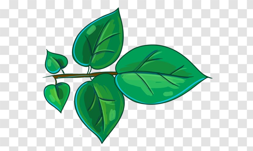 Leaf Plant Stem Branch Watercolor Painting Clip Art Transparent PNG