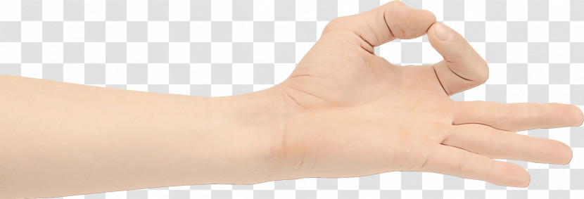 Skin Hand Arm Nose Joint Transparent PNG